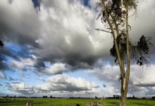 美团团购券核销 API入驻受限?零侵入低成本接口多店与 SaaS 接入